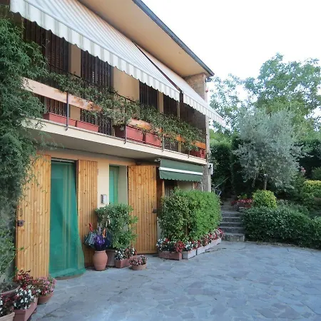 L'ulivo Chiantigiana 115-2